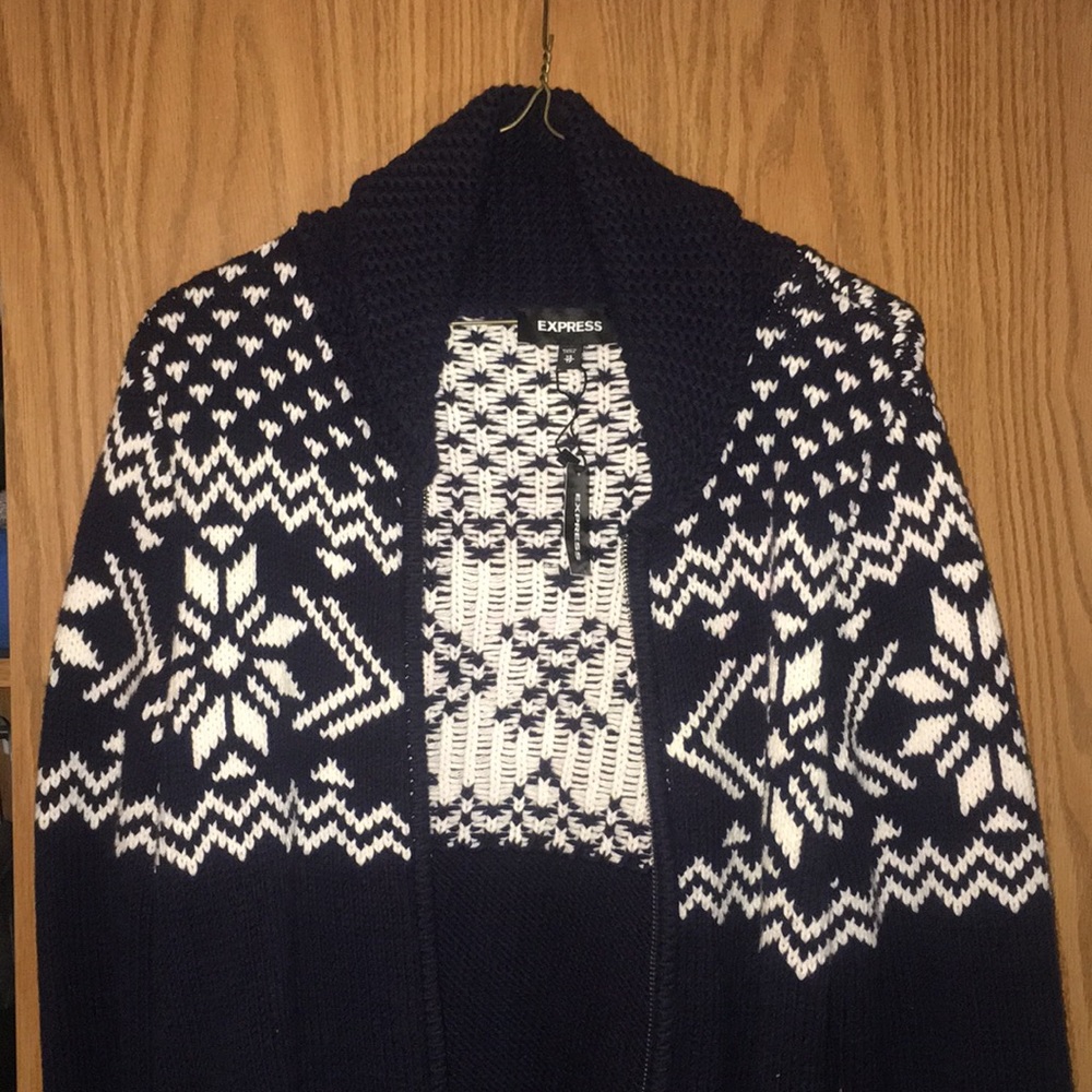 Express Holiday Sweater